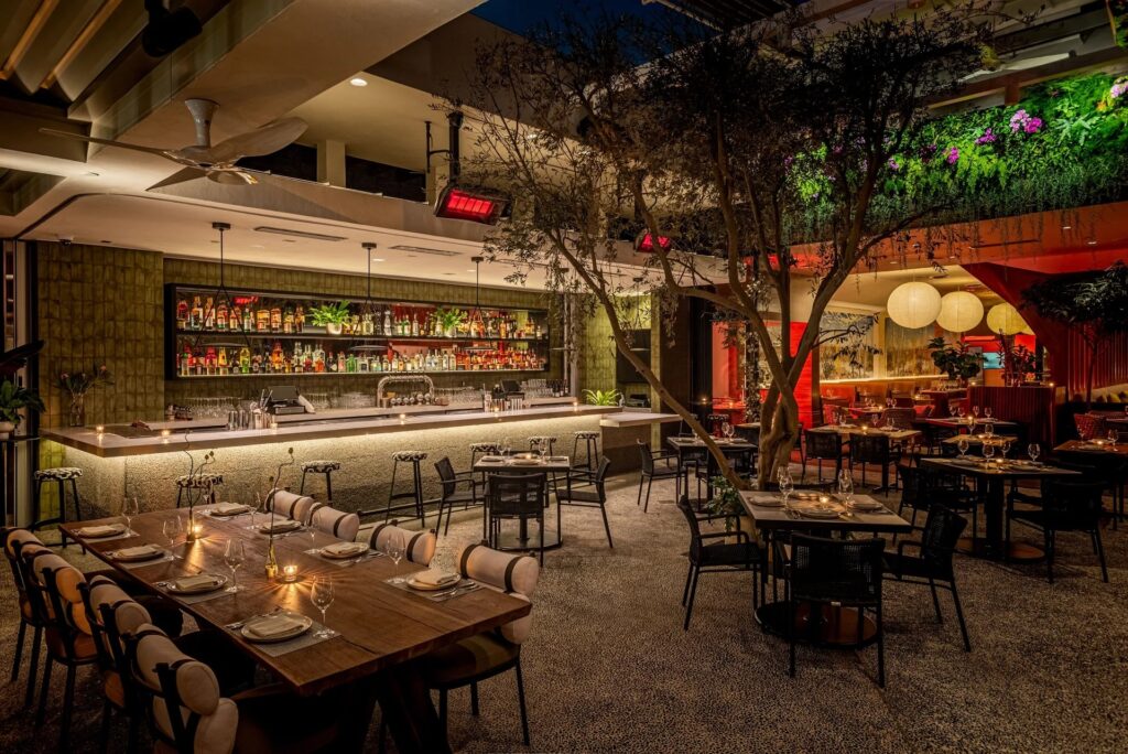 Empty bar with large tree in centre and gas heaters